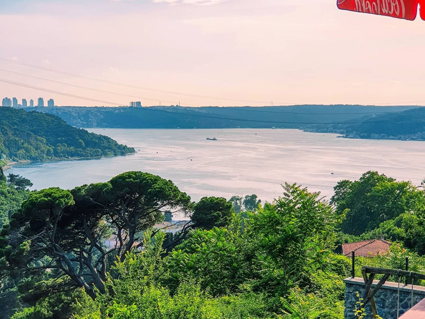 The Bosphorus seen from the hills, Istanbul by Mohammad Khakpaki