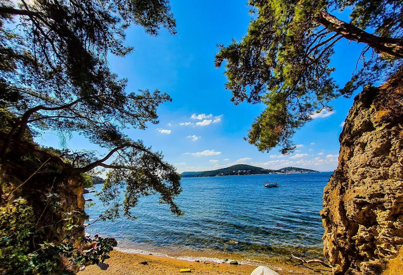 The Bosphorus through the trees, Istanbul by Mohammad Khakpaki