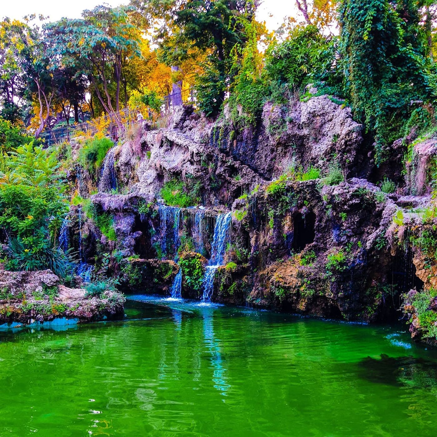Waterfall and wisteria over a green pool, Turkey by Mohammad Khakpaki
